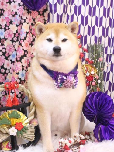 20250125ラッキーくん